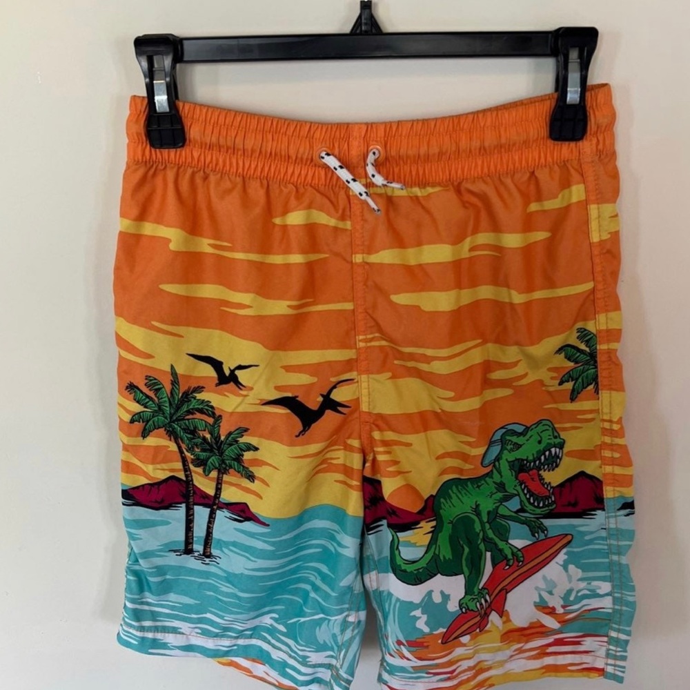 Dinosaur Swim Trunks